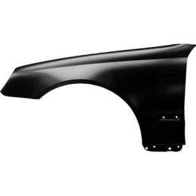 Compre Guardabarros de DIEDERICHS online para CLK Descapotable (A209) a precios moderados