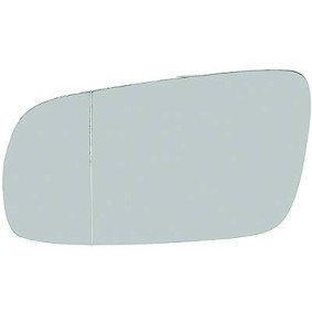 Spiegelglas, Außenspiegel 2213029 von DIEDERICHS günstig für 14,40 € online kaufen