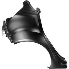 Acquista Sponda laterale da DIEDERICHS online per Fiesta Mk6 Hatchback (JA8, JR8) a prezzi moderati