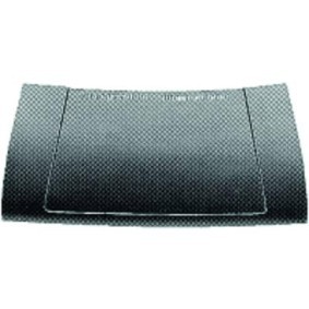 Comprar Capó de DIEDERICHS 2211100 a bajo precio de 171,58 €