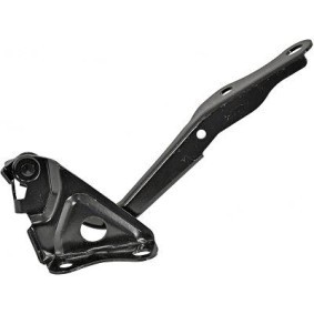 Comprar Bisagra, capó del motor de DIEDERICHS 6687018 a bajo precio de 37,95 €