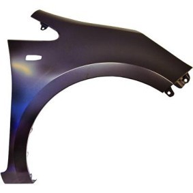 Compre Guardabarros de DIEDERICHS online para Rio III Furgón / Hatchback (UB) a precios moderados