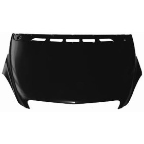 Compre Capó de DIEDERICHS online para Clase B (W245) a precios moderados