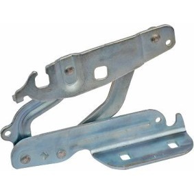 Compre Capô de DIEDERICHS online para Fiesta Mk6 Van a preços moderados