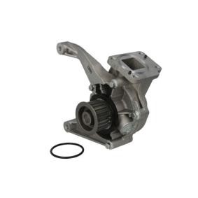 Comprar Bomba de agua de THERMOTEC D1Y076TT a bajo precio de 46,64 €