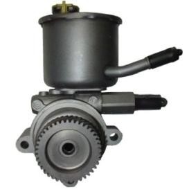 Compre Bomba de direção da SPIDAN 54422 a um preço baixo por 299,12 €