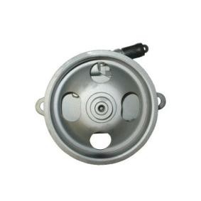 Comprar Bomba de dirección de SPIDAN 54377 a bajo precio de 271,68 €
