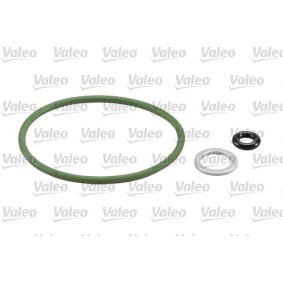 Compre Disco de embraiagem da VALEO 806123 a um preço baixo por 358,55 €