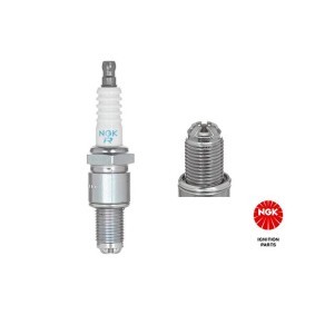 Zündkerze 2929 von NGK günstig für 8,24 € online kaufen