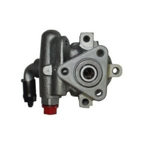 Achetez des Pompe de direction assistée de chez SPIDAN en ligne pour Fiorino II Van (146) à prix modérés