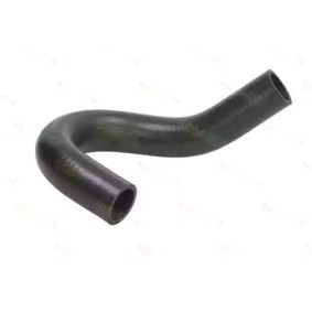 Achetez des Durite de refroidissement de chez THERMOTEC en ligne pour Transit Mk5 Camion plate-forme/Châssis (V184, V185) à prix modérés