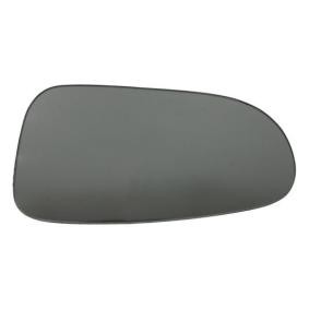 Spiegelglas, Außenspiegel 6102-01-0198P von BLIC günstig für 9,72 € online kaufen