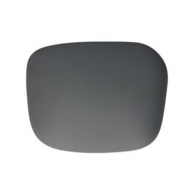 Achetez des Coque de rétroviseur de chez BLIC en ligne pour Partner I Van (5, G) à prix modérés