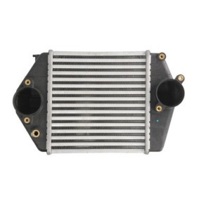 Kühlerschlauch DCG083TT von THERMOTEC günstig für 17,26 € online kaufen