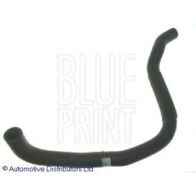 Kühlerschlauch ADH29408 von BLUE PRINT günstig für 36,65 € online kaufen