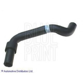 Compre Tubo de radiador de BLUE PRINT online para Carina II Sedan (_T17_) a preços moderados