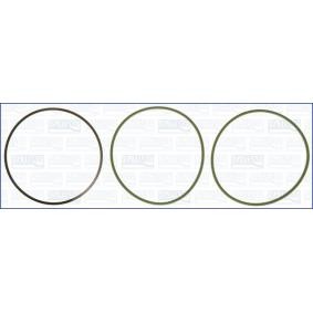 Acquista Kit guarnizioni, Canna cilindro da AJUSA 60009100 a buon mercato per soli 38,00 €