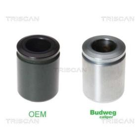 Achetez des Piston, étrier de frein TRISCAN 8170 233848 à prix pour 26,15 €