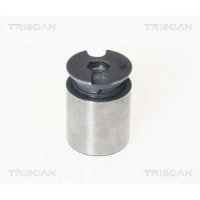 Achetez des Piston, étrier de frein TRISCAN 8170 233863 à prix pour 30,31 €