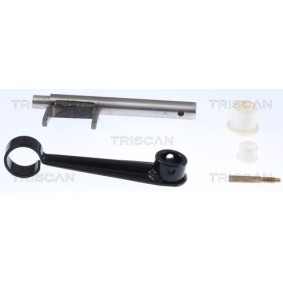 Comprar Juego de juntas, bloque motor de TRISCAN 595-4237 a bajo precio de 30,77 €