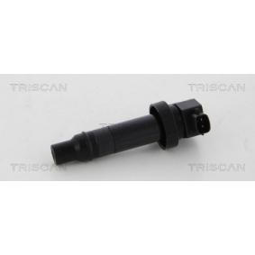 Compre Bobina de ignição da TRISCAN 8860 43009 a um preço baixo por 66,87 €