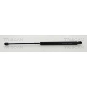 Heckklappendämpfer 8710 40235 von TRISCAN günstig für 15,84 € online kaufen