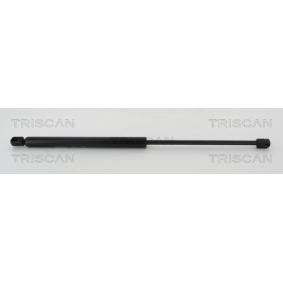 Heckklappendämpfer 8710 40236 von TRISCAN günstig für 33,30 € online kaufen