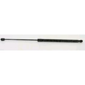 Heckklappendämpfer 8710 16260 von TRISCAN günstig für 18,50 € online kaufen