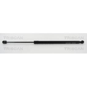 Heckklappendämpfer 8710 16261 von TRISCAN günstig für 30,50 € online kaufen