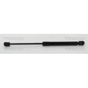 Heckklappendämpfer 8710 18235 von TRISCAN günstig für 17,99 € online kaufen