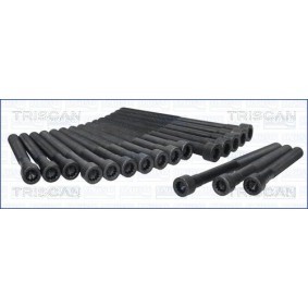 Acquista Kit bulloni testata da TRISCAN 98-4100 a buon mercato per soli 38,82 €