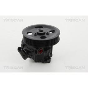 Compre Bomba de direção da TRISCAN 8515 17600 a um preço baixo por 226,90 €