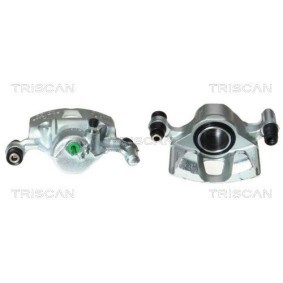 Spannrolle, Keilrippenriemen 8641 232017 von TRISCAN günstig für 49,16 € online kaufen