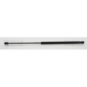 Heckklappendämpfer 8710 68214 von TRISCAN günstig für 15,02 € online kaufen