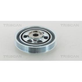Compre Polia, cambota da TRISCAN 8643 15011 a um preço baixo por 97,55 €