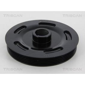 Compre Polia, cambota da TRISCAN 8643 23001 a um preço baixo por 133,49 €