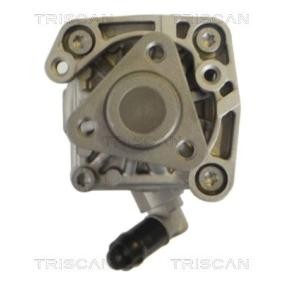 Compre Bomba de direção da TRISCAN 8515 17609 a um preço baixo por 230,35 €