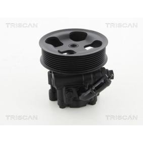 Compre Bomba de direção da TRISCAN 8515 17612 a um preço baixo por 277,47 €
