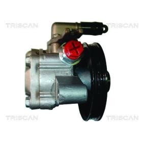 Acquista Pompa idraulica, sterzo da TRISCAN 8515 18613 a buon mercato per soli 270,05 €