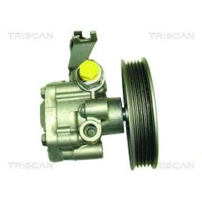 Compre Bomba de direção da TRISCAN 8515 18621 a um preço baixo por 227,13 €