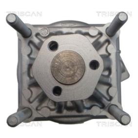Compre Bomba de dirección de TRISCAN online para 911 Speedster (964) a precios moderados