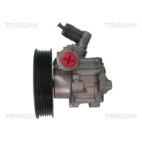 Servopumpe 8515 23639 von TRISCAN günstig für 357,82 € online kaufen