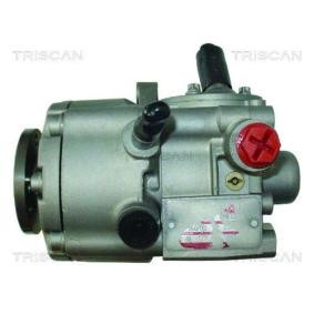 Servopumpe 8515 23665 von TRISCAN günstig für 365,77 € online kaufen