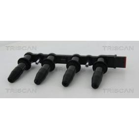 Acquista Bobina d'accensione da TRISCAN 8860 24017 a buon mercato per soli 133,52 €