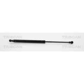 Heckklappendämpfer 8710 12216 von TRISCAN günstig für 13,73 € online kaufen