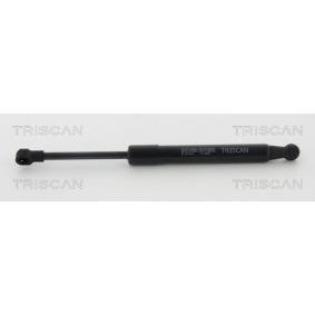 Heckklappendämpfer 8710 12218 von TRISCAN günstig für 14,90 € online kaufen