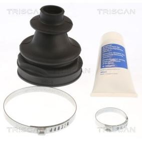 Comprar Juego de fuelle, árbol de transmisión de TRISCAN 8540 16925 a bajo precio de 23,63 €