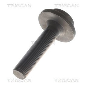 Acquista Guarnizione testata da TRISCAN 501-1740 a buon mercato per soli 115,14 €