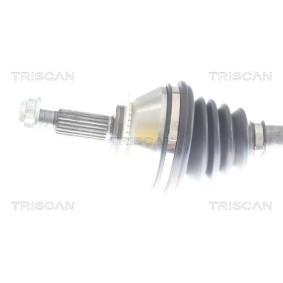 Acquista Guarnizione testata da TRISCAN 501-1742 a buon mercato per soli 119,82 €