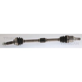 Acquista Guarnizione, Coppa olio da TRISCAN 510-2606 a buon mercato per soli 23,20 €